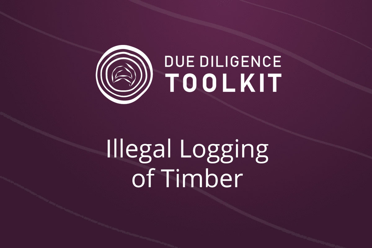 AFADDT - Illegal Logging of Timber