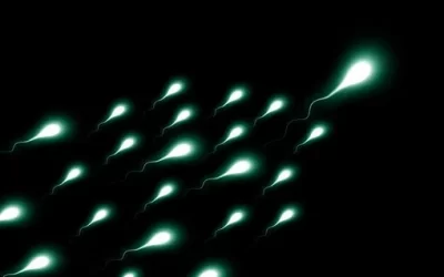 Scientists link low sperm count and other health concerns to chemical exposure in furniture products