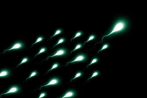Scientists link low sperm count and other health concerns to chemical exposure in furniture products Scientists link low sperm count and other health concerns to chemical exposure in furniture products