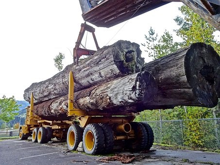 Furniture timber supply news across the nation and abroad Furniture timber supply news across the nation and abroad