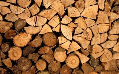 Imported Timber Furniture Fails the Test as PEFC Certifies First Urban Trees
