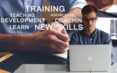 Skills Insight Established as Job and Skills Council (JSC) for Australian Furnishing Industry