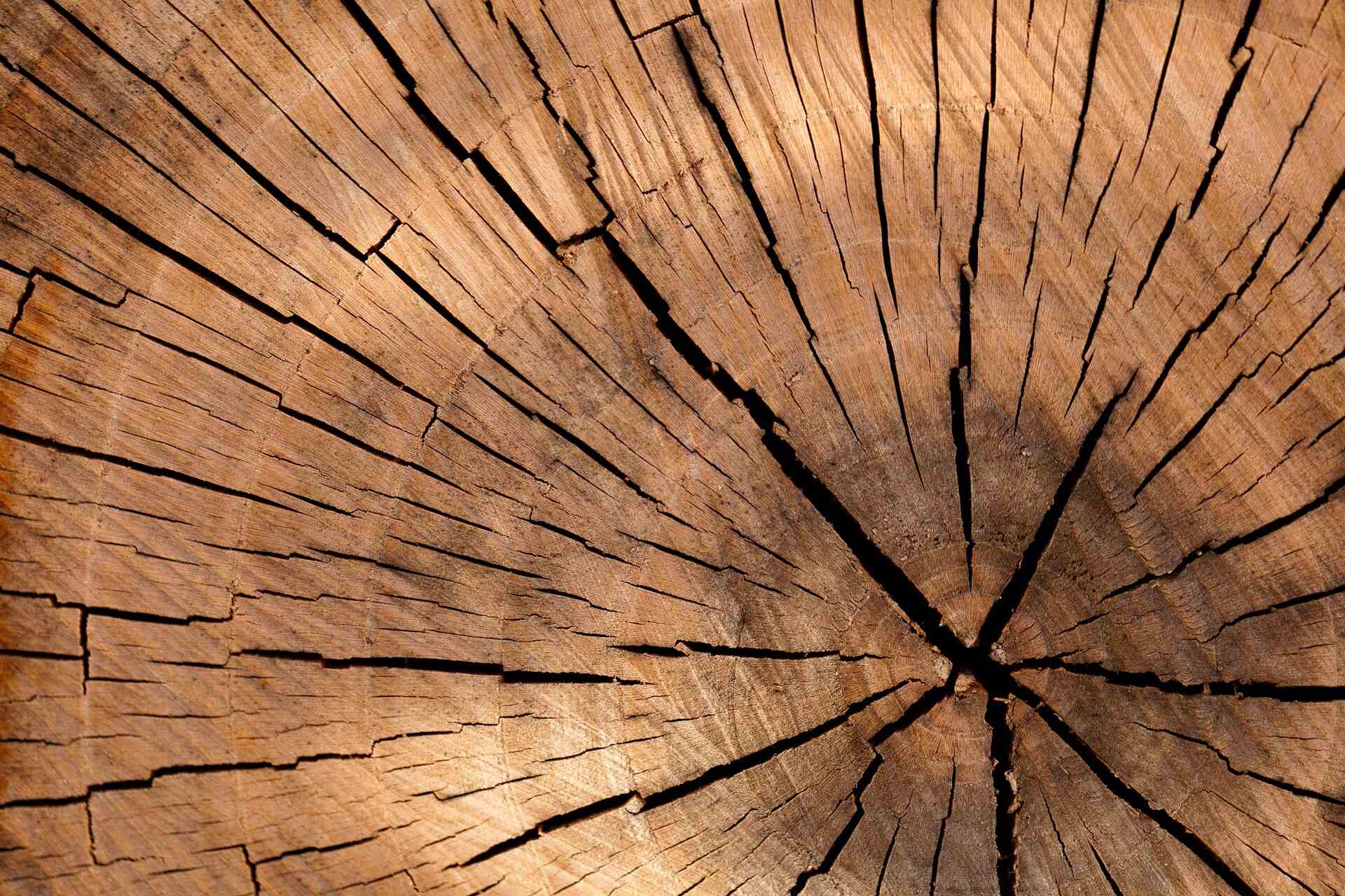timber2 Australia's Furniture Waste