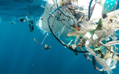 Global Plastic Treaty Negotiations: Key Insights for the Furnishing Industry